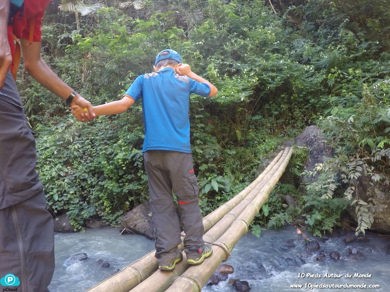 Pont de bambou à traverser
